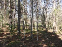 Lot 87 Lakehaven Circle