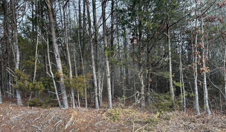 0 Parker Loop Road Road