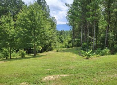 147 Hiwassee Trails Drive