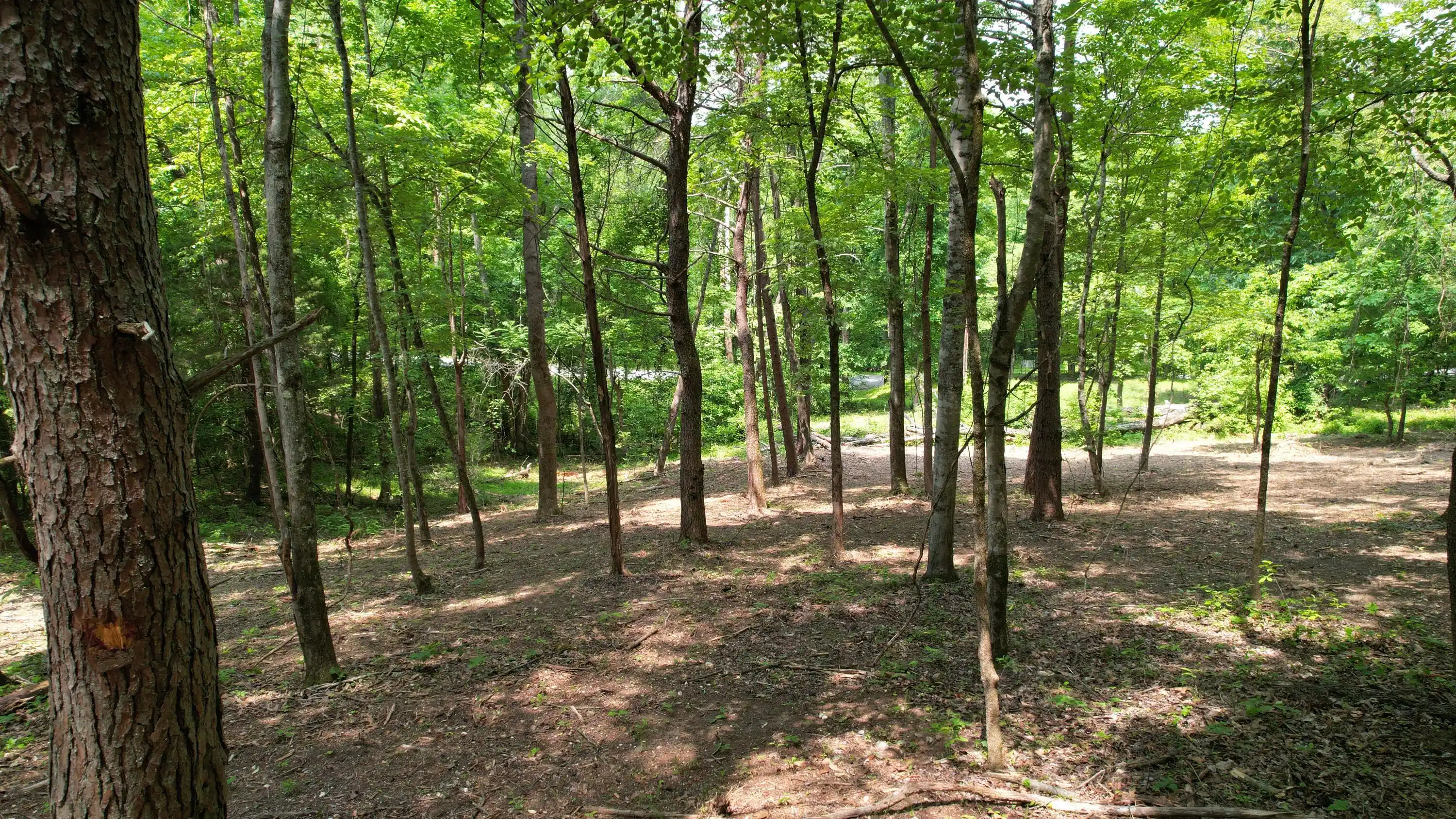 Image 1: 1
