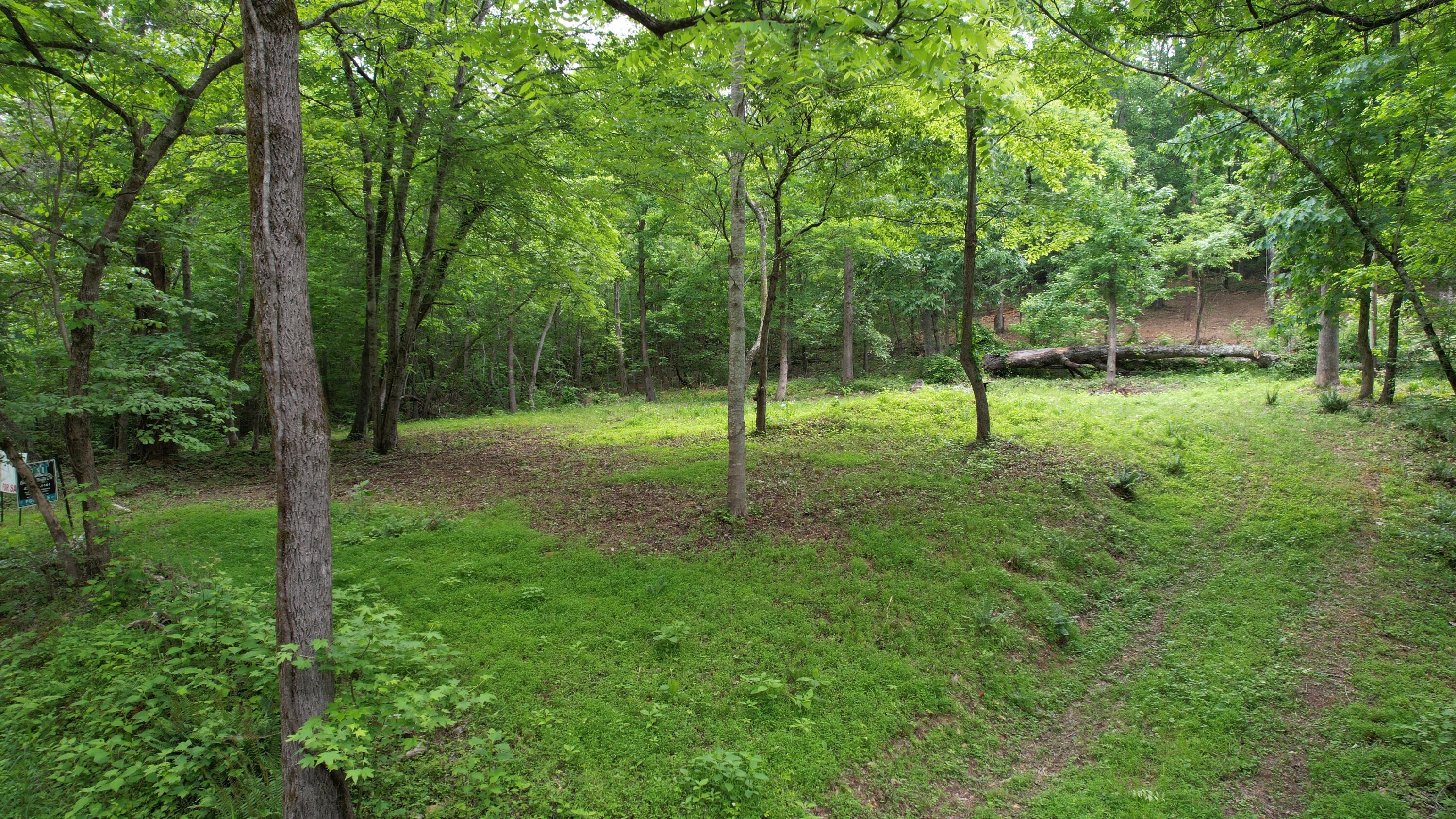 Image 2: 2
