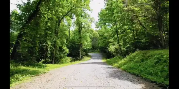 Image 4: 4