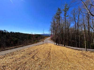 107 Chestnut Mountain Road