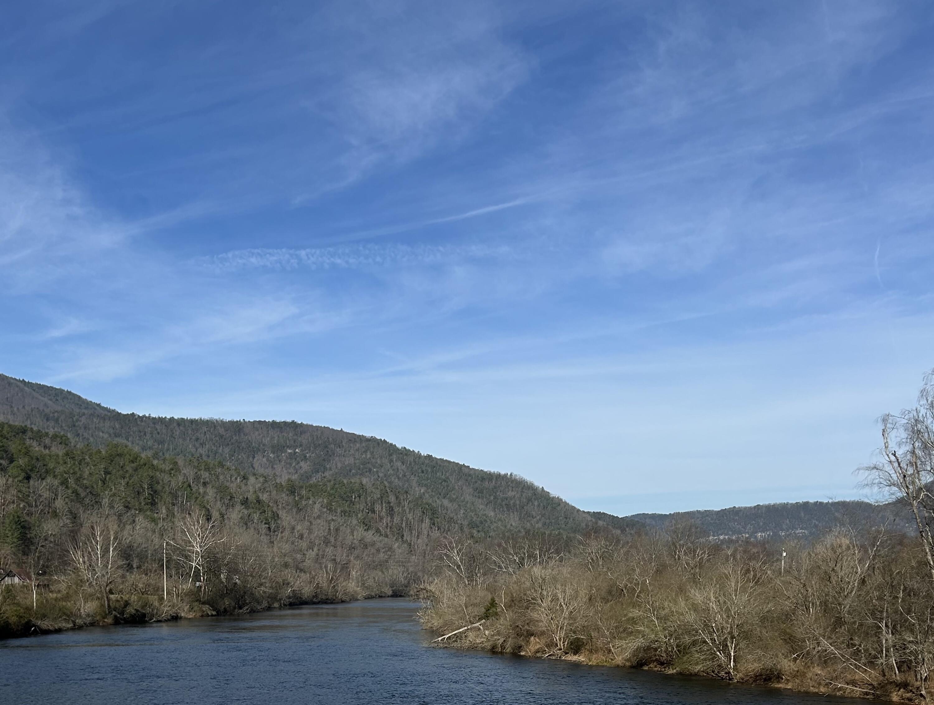 Image 1: IMG_1815crop