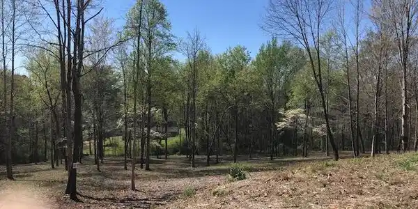Lot 18 Piney View