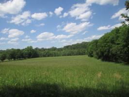 50.39 acres 000 Old Upper River Rd NE