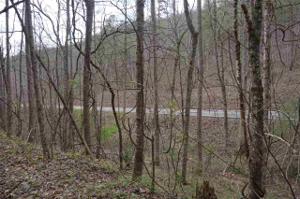 Tellico Reliance Road