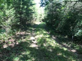 Co Rd 875 County Road 875