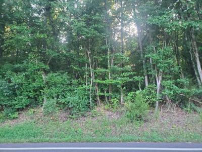 Lot 9 Highway 304