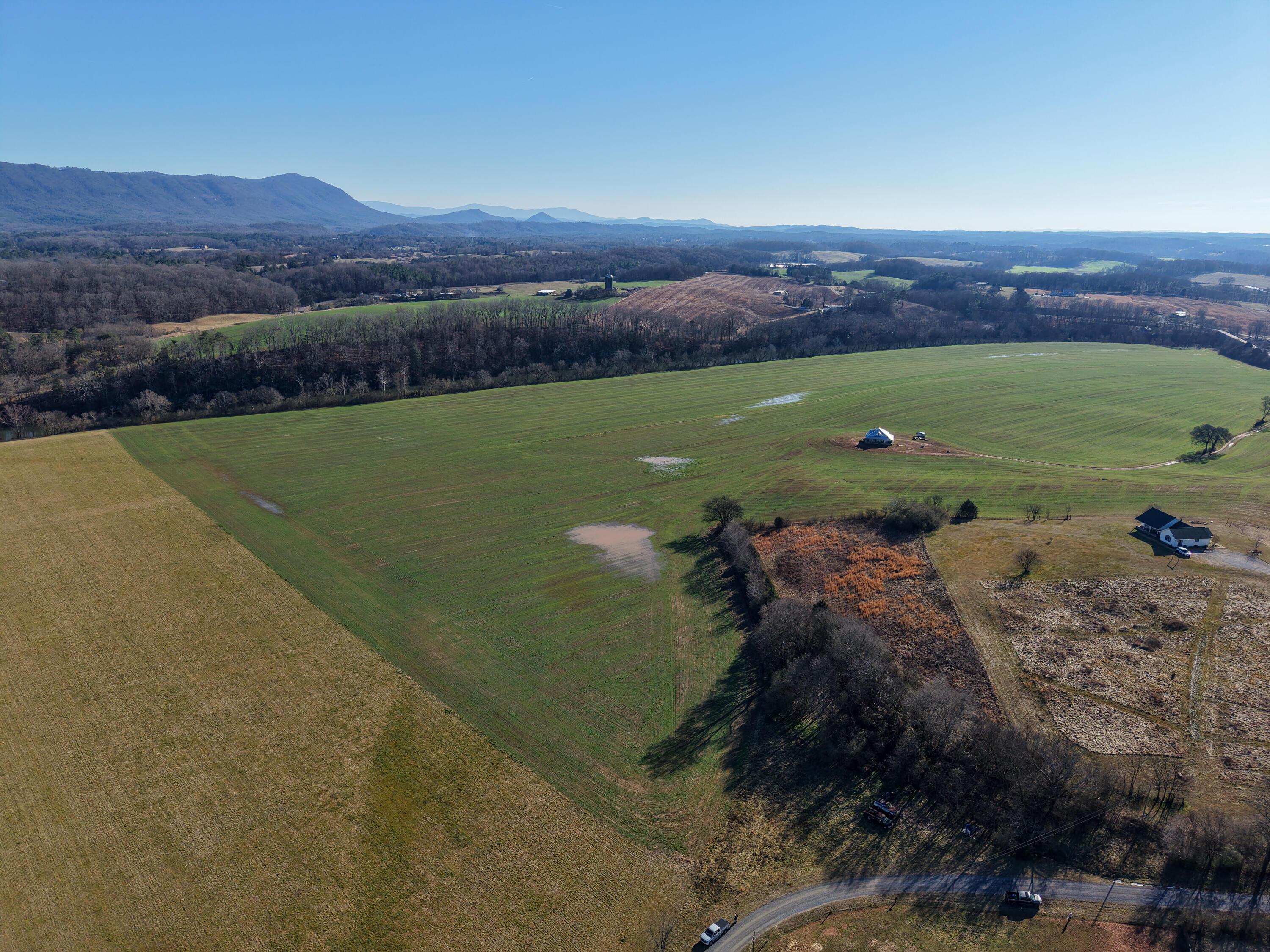 Image 2: DJI_20260216150159_0229_D