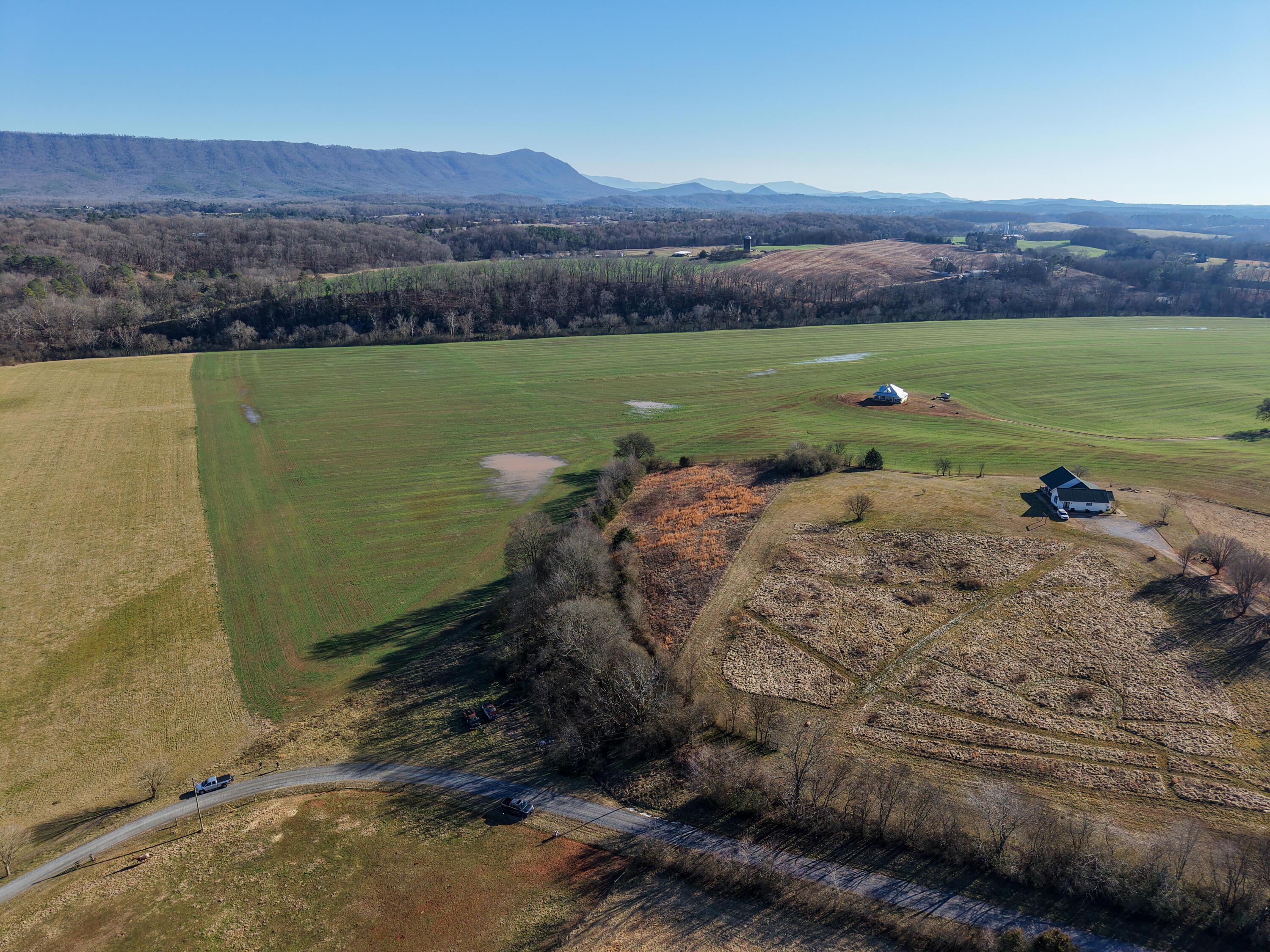 Image 3: DJI_20260216151128_0246_D