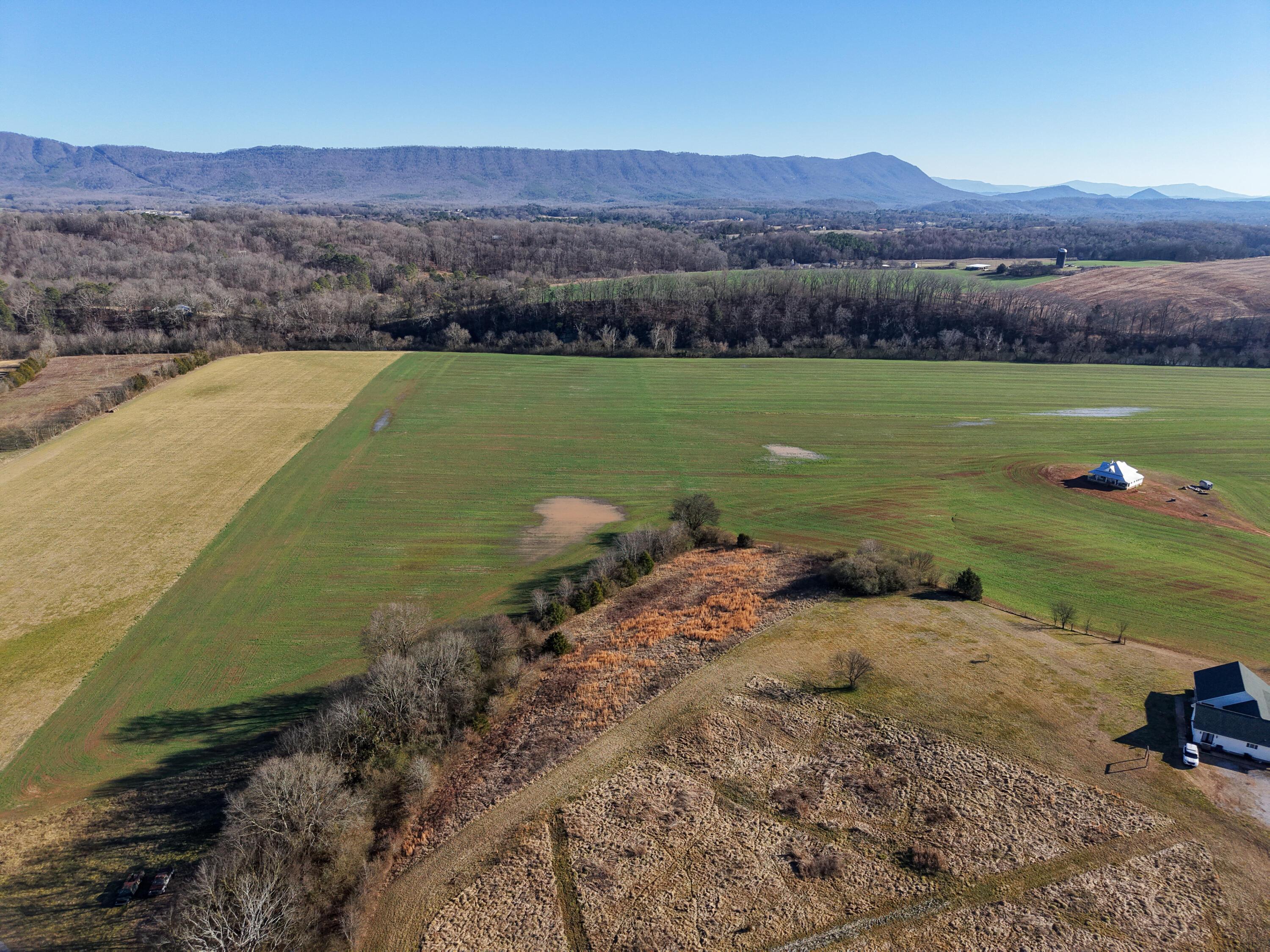 Image 4: DJI_20260216151146_0248_D