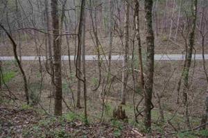 Tellico Reliance Road