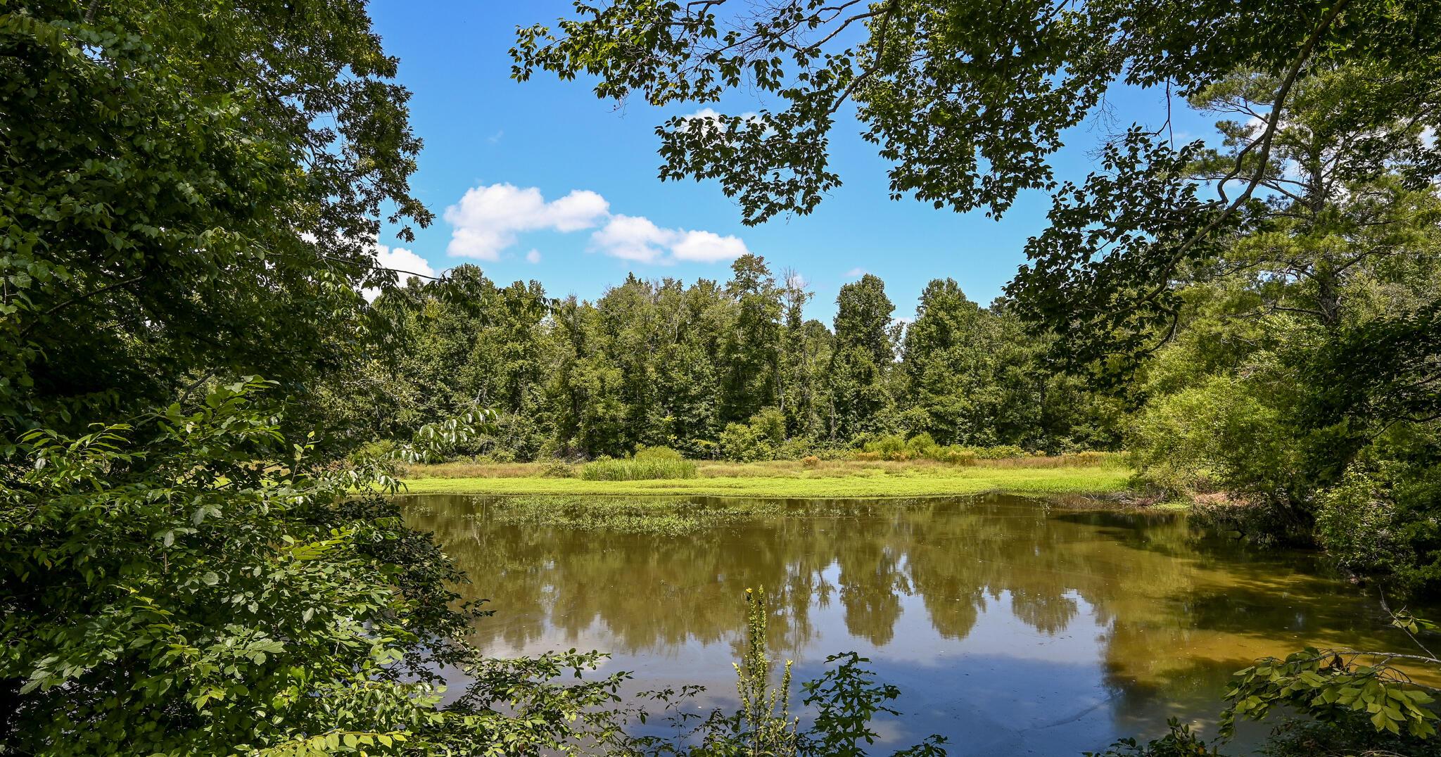 Image 4: Hiwassee River