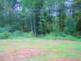 3.67 Granny Moss Lane Lot 17