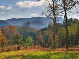 1195 and 133 Tellico Camp Road