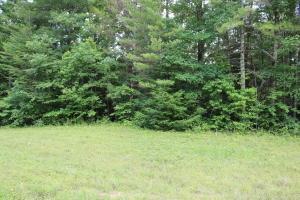 0 Hemlock Bluff Way