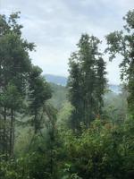 Tract 12-14 Chestnut Mountain Road