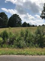 913 Riverben Trail Lot 110