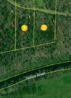 4.48 acres Tellico Camp Road
