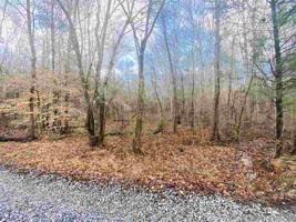 000 Dunn Rd
