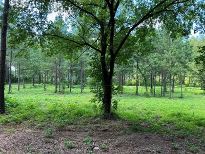 Lot 3 County Road 950