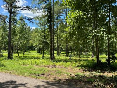 Lot 4 County Road 950