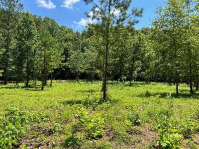 Lot 5 County Road 950