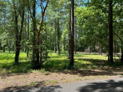 Lot 6 County Road 950