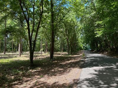 Lot 7 County Road 950