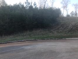 128 Copper still way Lot 19