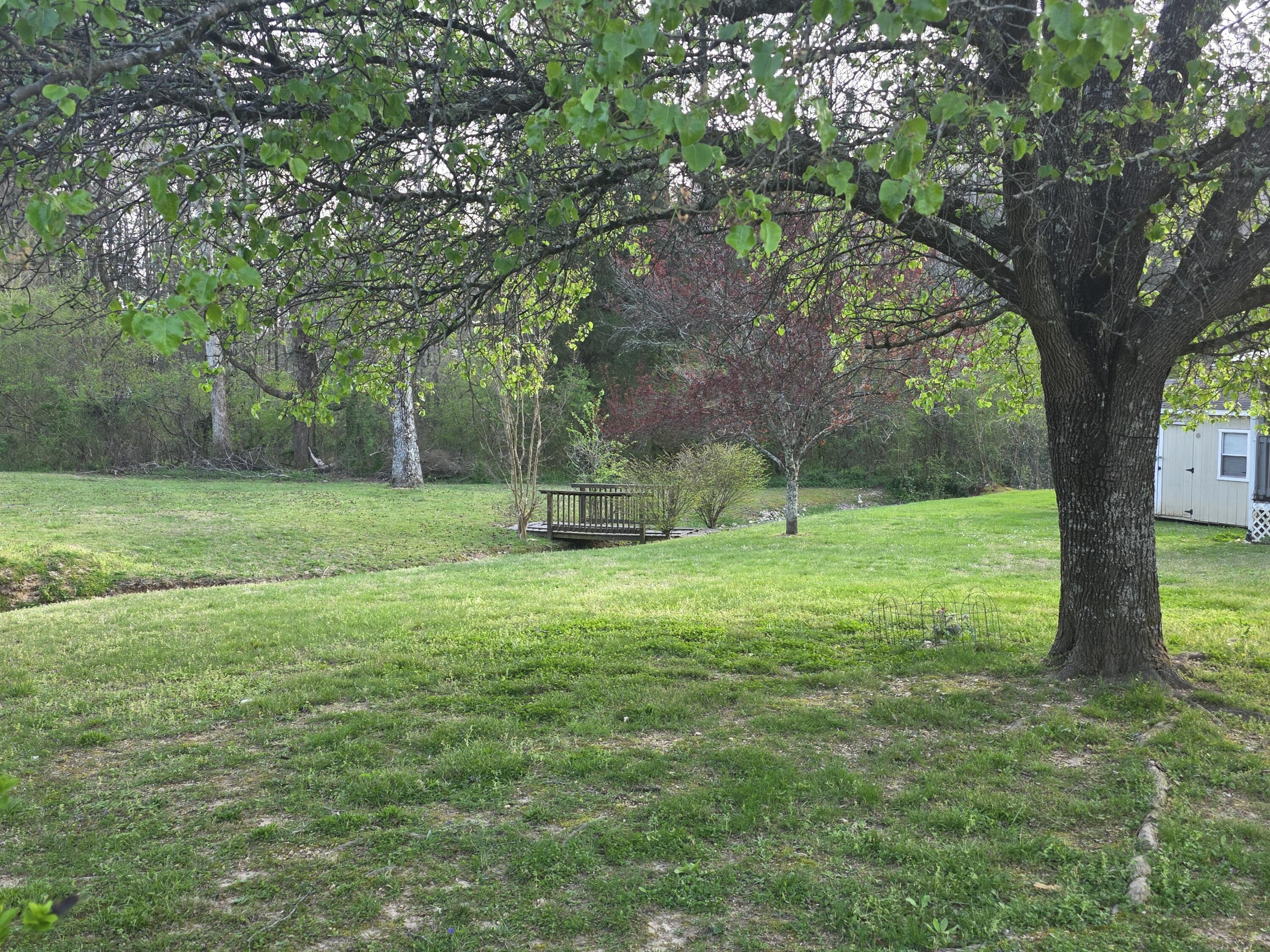 Image 4: 20260326_181006