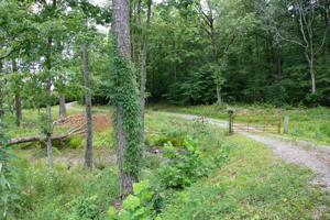 2750 Lamontville Road