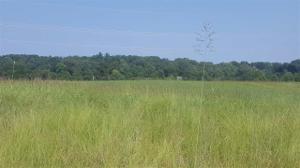 155 Waterstone Drive Lot 34