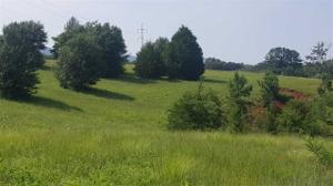 8940 Highway 411 Lot 45