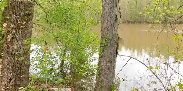 5.8 Purser Road