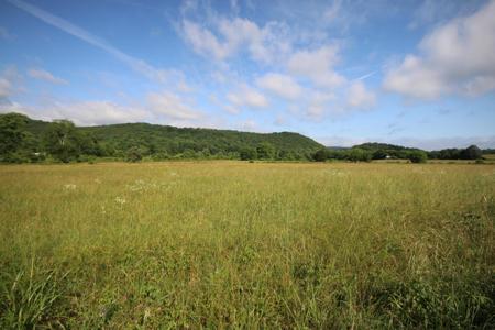 110 Acres Bivens Rd.