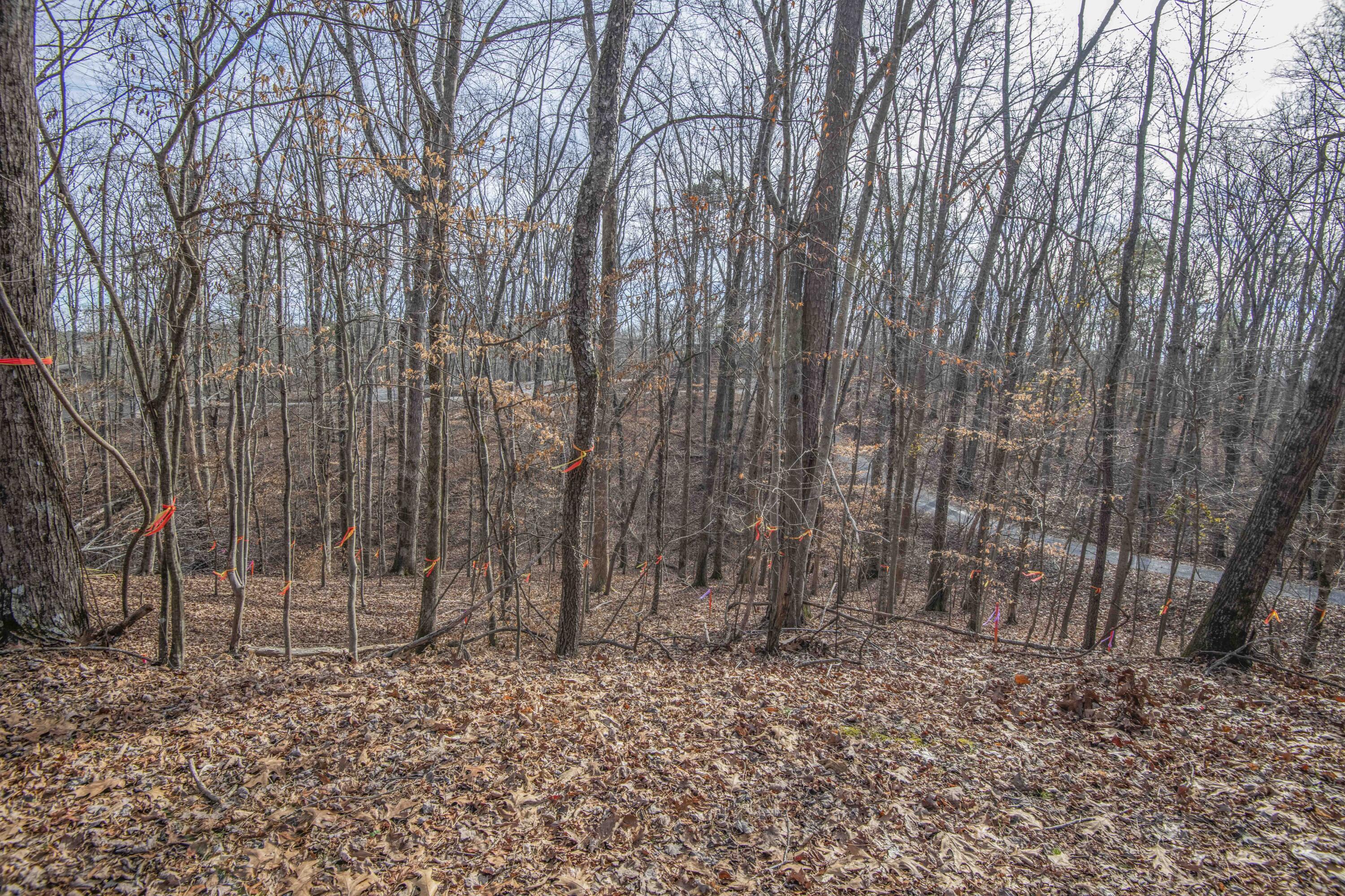 Image 3: ground 7_1