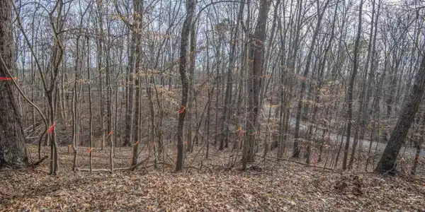 Image 3: ground 7_1