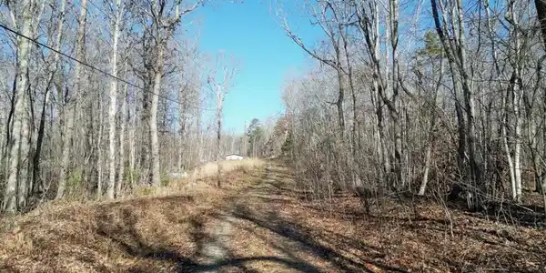Lot 69 W Log Road W