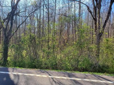 Lot 6 Highway 304