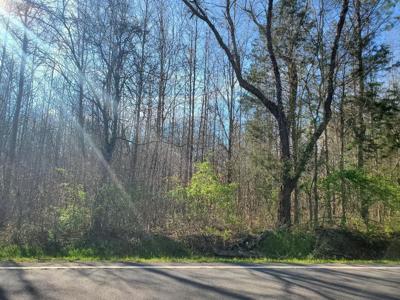 Lot 7 Highway 304
