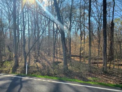 Lot 8 Highway 304
