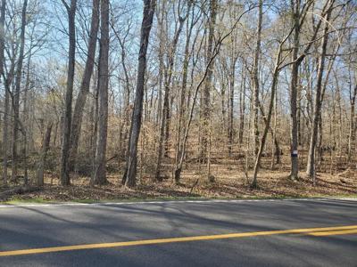 Lot 15 Highway 304