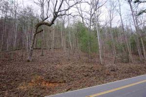 Tellico Reliance Road