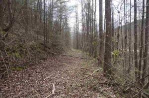 Tellico Reliance Road