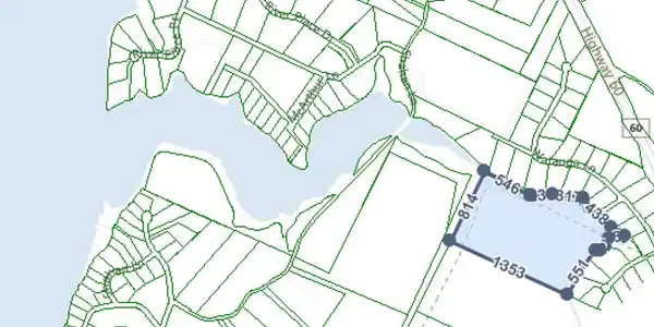 30.363 Acres HWY 60