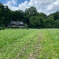 445 Moss Road