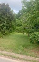 707 Old Riceville Road