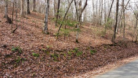 00 Wooten Road